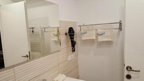 クルジュ・ナポカにあるCarla's Residenceのバスルーム(シャワー、鏡付)