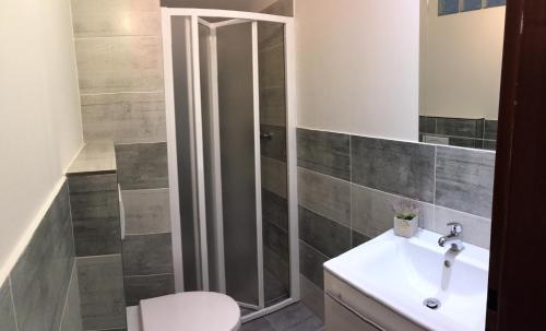 a bathroom with a shower and a sink at Penzion Svatava in Ostrava
