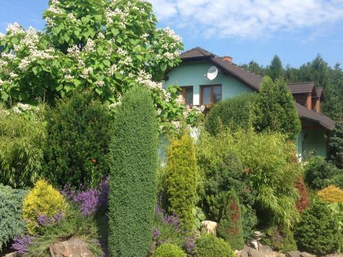 a house with a garden of bushes and trees at Penzion Svatava in Ostrava