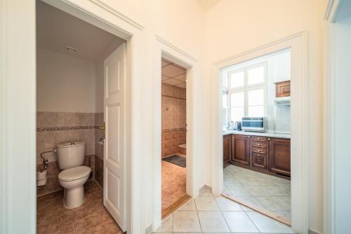 a bathroom with a toilet and a sink and a shower at St. George Apartments in Prague
