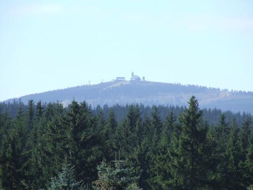 a house on top of a hill with trees at Apartment fewobaerenstein in Bärenstein