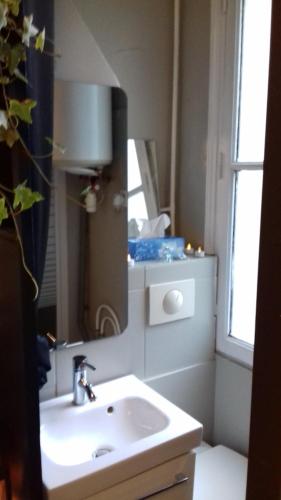 une salle de bain avec un lavabo et un miroir dans l'établissement Studio Cosy, à Paris