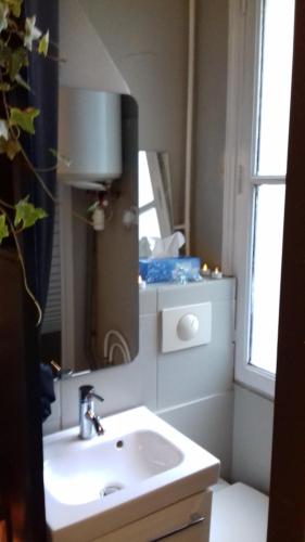 La salle de bains est pourvue d'un lavabo et d'un miroir. dans l'établissement Studio Cosy, à Paris