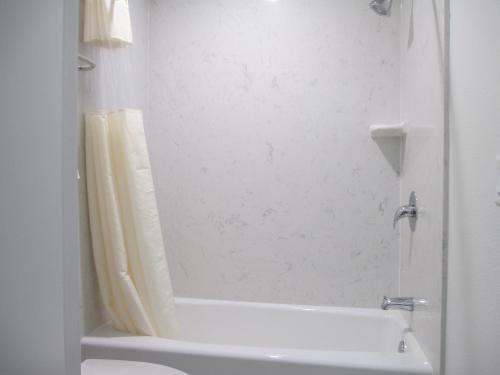 a white bathroom with a shower and a toilet at Claremont Lodge in Claremont