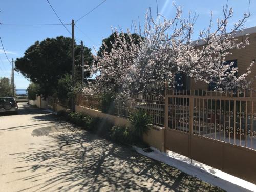 Fotografie z fotogalerie ubytování Jordi v destinaci Artemida