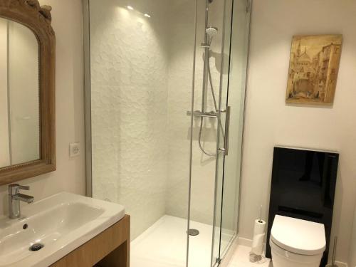 a bathroom with a shower and a toilet and a sink at Villa Mary in Amboise