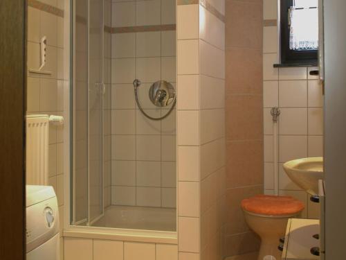 a bathroom with a shower with a toilet and a sink at Ferienwohnung Eleonore Sauter in Meßstetten