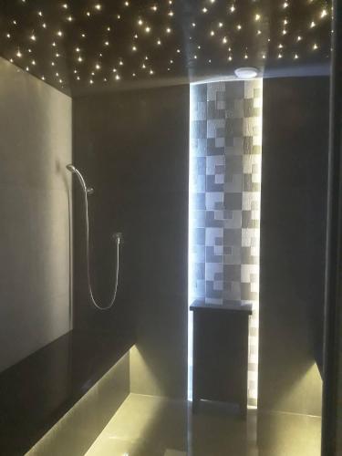 a bathroom with a shower with lights on the ceiling at Hotel Roztocze in Zwierzyniec