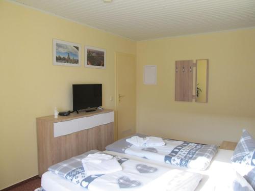 a hotel room with two beds and a television at Hotel Landhaus Nassau in Meißen