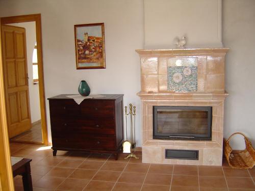 a living room with a fireplace and a television at Ferien im Naturschutzgebiet in Kékkút