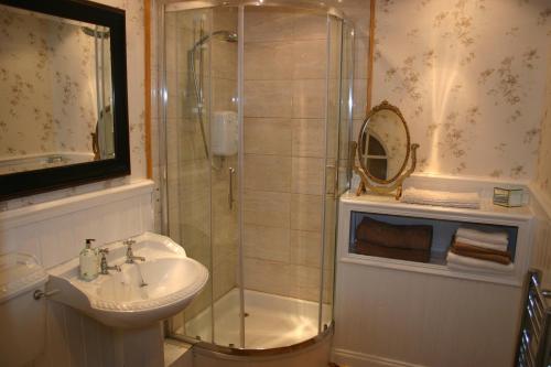 a bathroom with a shower and a sink at Garden Suite in Rhuddlan