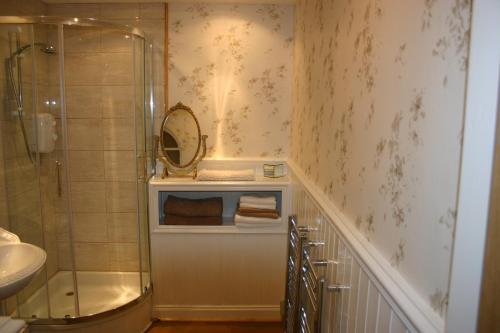 a bathroom with a shower and a sink and a mirror at Garden Suite in Rhuddlan