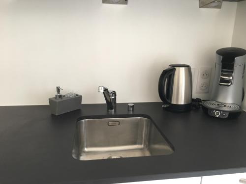 un comptoir de cuisine avec un évier en acier inoxydable dans l'établissement Carpe Diem, à Annecy