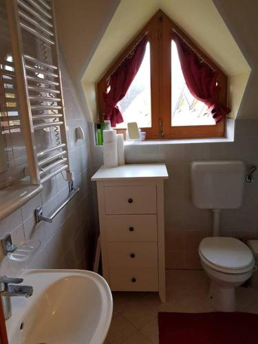 a bathroom with a sink and a toilet and a window at TULPIKA 13 in Moravske-Toplice