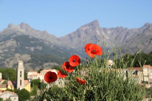 Γενική θέα στο βουνό ή θέα στο βουνό από  αυτό το bed & breakfast