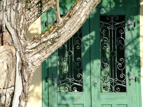 Fotografie z fotogalerie ubytování Wein&Speiz Fogadó v destinaci Györköny