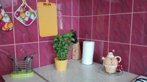 克拉科夫的住宿－Studio Krakowski Styl，一个带植物和切板的厨房台面