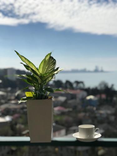Landskap semula jadi dekat dengan apartmen