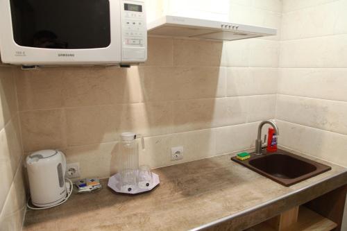 a kitchen counter with a sink and a microwave at WINE & ROSE BOUTIQUE HOTEL in Kharkiv