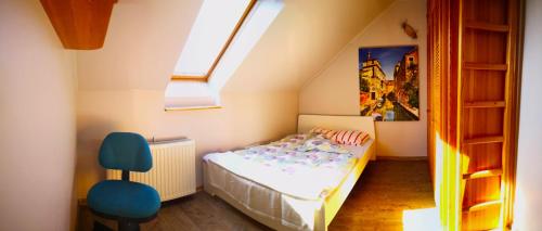 1 dormitorio pequeño con 1 cama y tragaluz en Aurora Premium Home, en Győr