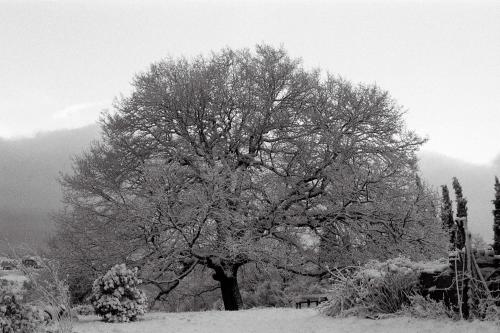 Poggio del Castagno – Photos 3