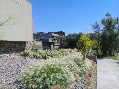 a garden with plants in front of a building at Casa Petrini in Tupungato