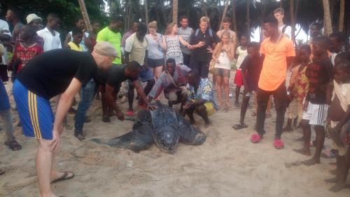 a group of people standing around a dead animal at Ankobra Beach Resort in Axim
