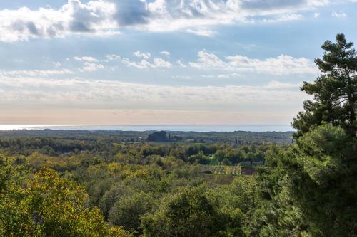 a view from the top of a hill with trees at Villa Sterpazzi - near Porec with Sea View, private Jacuzzi, Sauna and Pool in Višnjan