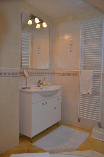 a bathroom with a sink and a mirror and a shower at Elizabet in Bojnice