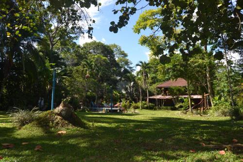 a park with trees and a building in the distance at Chalet Y Cabinas Hibiscus in Cahuita