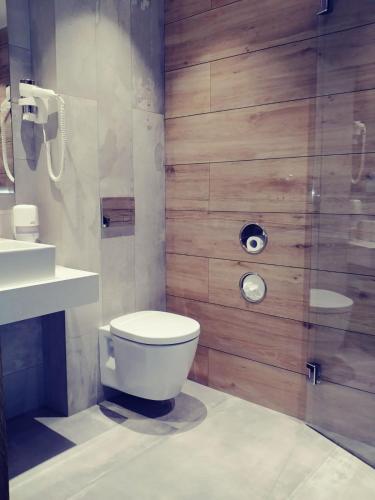 a bathroom with a toilet and a sink at Vila Topaz in Baile Felix