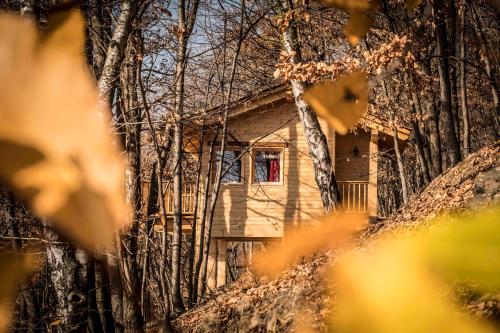 a small house with a red window in the woods at Il Nido del Casalot in Frassino