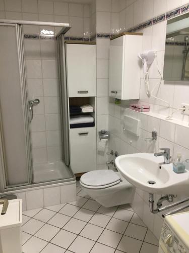 a bathroom with a toilet and a shower and a sink at Eibach Appartment in Nuremberg