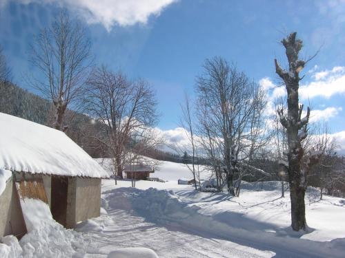 a snow covered yard with a house and trees at Auberge des Montauds - Hôtel & Restaurant in Villard-de-Lans