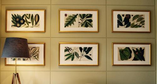a wall with nine framed drawings of plants at Cotswold House Hotel and Spa - "A Bespoke Hotel" in Chipping Campden