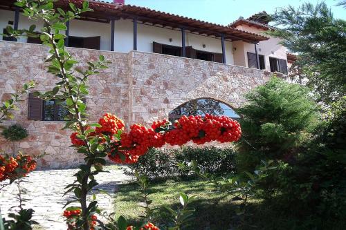 a bunch of red flowers in front of a building at Klio Guesthouse in Portariá