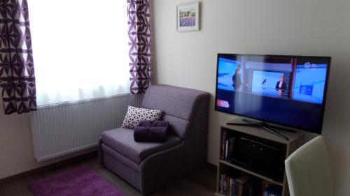 a living room with a television and a chair at Rex Apartman in Hajdúszoboszló