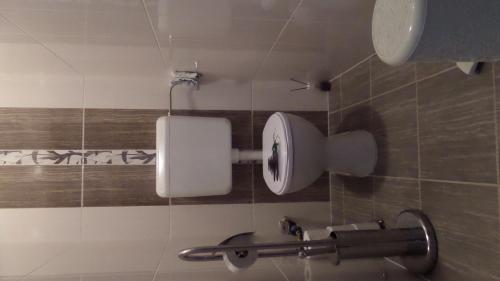 a bathroom with a toilet paper dispenser on a wall at Rex Apartman in Hajdúszoboszló