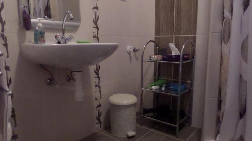 a small bathroom with a sink and a toilet at Rex Apartman in Hajdúszoboszló