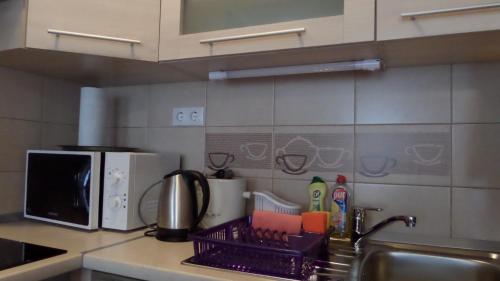 a kitchen counter with a sink and a microwave at Rex Apartman in Hajdúszoboszló