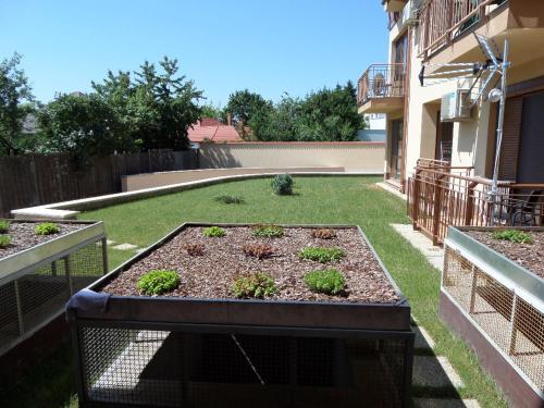 a backyard with a garden with plants in it at Rex Apartman in Hajdúszoboszló