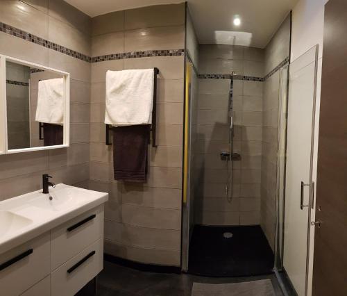 een badkamer met een douche en een wastafel bij le Gîte Ginkg'home in Saint-Max