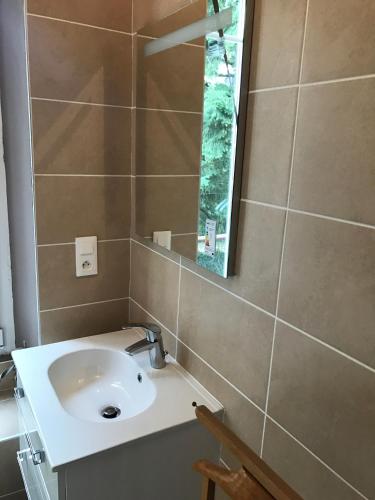 une salle de bain avec un lavabo et un miroir dans l'établissement Chez Auguste, à Nancy