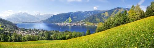 a green hill with a view of a lake and mountains at Appartment Sonnenschein in Uttendorf