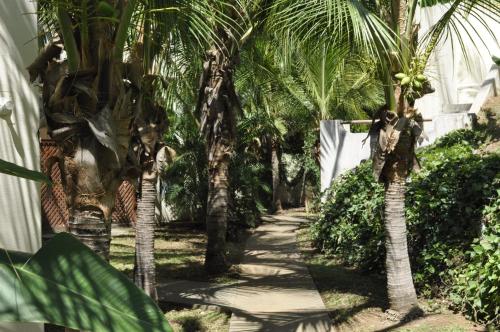 Tropical Gardens Suites and Apartmentsにある庭