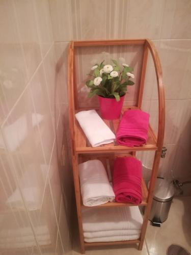 a towel rack with towels and a potted plant at Starfish House in Vila Nova de Gaia