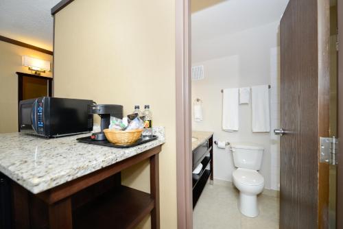 a bathroom with a toilet and a microwave on a counter at Siding 16 Lodge in Wetaskiwin