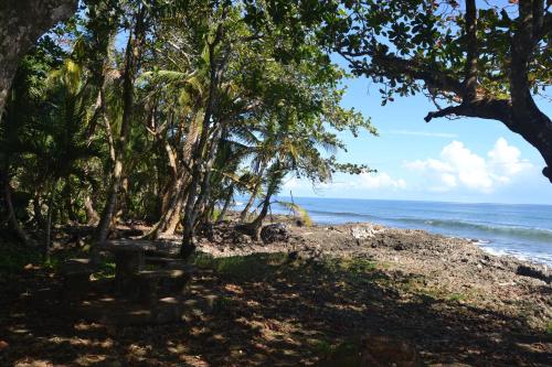 a beach with a bunch of trees and the ocean at Chalet Y Cabinas Hibiscus in Cahuita