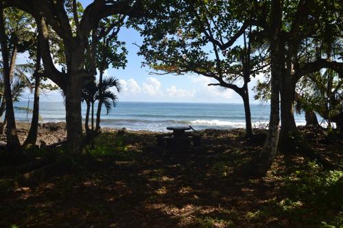 a picnic table on the beach near the ocean at Chalet Y Cabinas Hibiscus in Cahuita