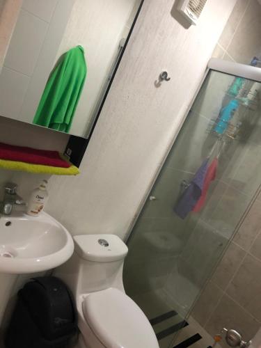 ein Bad mit einer Dusche, einem WC und einem Waschbecken in der Unterkunft Eclipse in Guadalajara